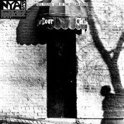 Live At The Cellar Door (Neil Young)