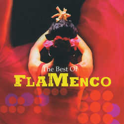 Flamenco Highlights - Pata Negra