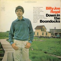 Down in the Boondocks - Billy Joe Royal