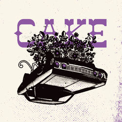b-sides and rarities - Cake