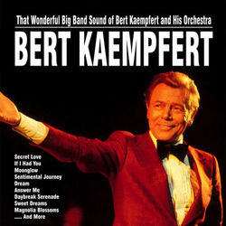 That Wonderful Big Band Sound of Bert Kaempfert and His Orchestra - Bert Kaempfert And His Orchestra