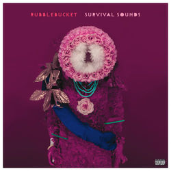 Survival Sounds - Rubblebucket