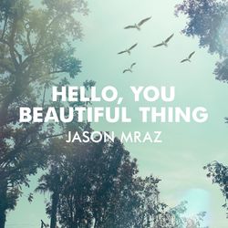 Jason Mraz - Hello, You Beautiful Thing