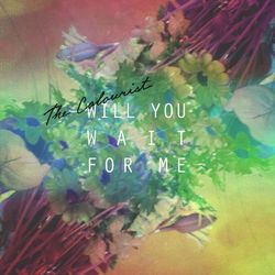Will You Wait for Me - The Colourist
