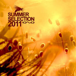 Summer Selection 2011 - Infinity