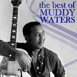 The Best Of Muddy Waters - Muddy Waters