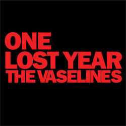 One Lost Year - The Vaselines