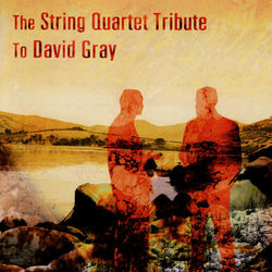The String Quartet Tribute to David Gray - David Gray