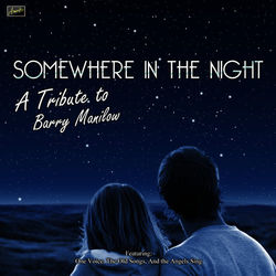 Somewhere In The Night - A Tribute to Barry Manilow - Barry Manilow