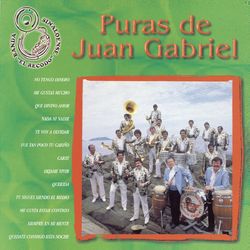 Puras de Juan Gabriel - Banda Sinaloense el Recodo de Cruz Lizárraga