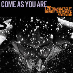 Come As You Are: A 20th Anniversary Tribute To Nirvana's 'Nevermind' - Anthony Raneri