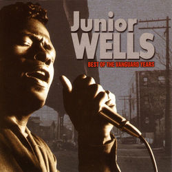 Best Of The Vanguard Years - Junior Wells