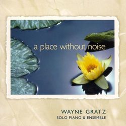 A Place Without Noise (Wayne Gratz)