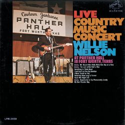 Live Country Music Concert - Willie Nelson