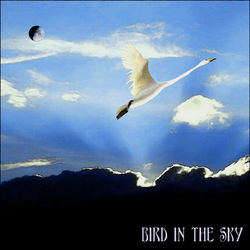 Bird in the Sky - Silkie