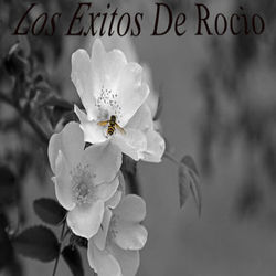 Los Exitos de Rocio - Rocio Durcal