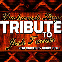 Backwoods Boy: Tribute to Josh Turner - Josh Turner
