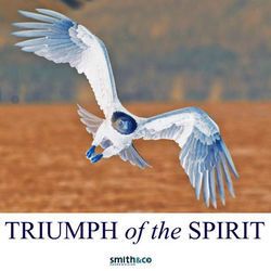 Triumph Of The Human Spirit - The Country Dance Kings