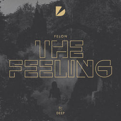 The Feeling - DJ Fresh