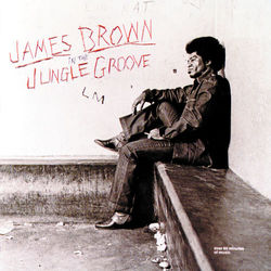 In The Jungle Groove - James Brown