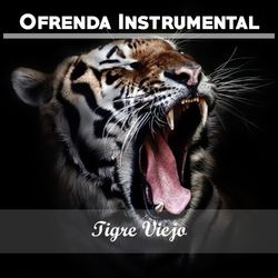 Ofrenda Instrumental: Tigre Viejo - Juan D'Arienzo y su Orquesta Típica
