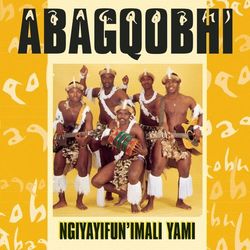 Ngiyayifunimali - Abagqobhi