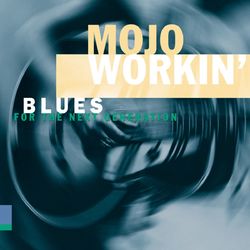 Mojo Workin': Blues For The Next Generation - Stevie Ray Vaughan