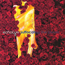 Suffocating the Bloom - Echolyn