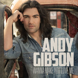 Wanna Make You Love Me - Andy Gibson