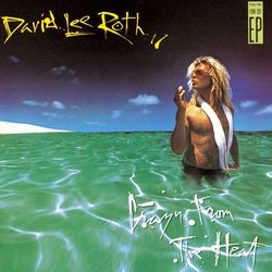 Crazy From The Heat - David Lee Roth