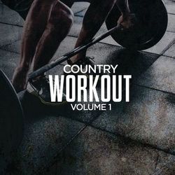 Country Workout, Volume 1 - Taylor Swift