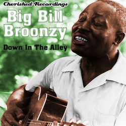 Big Bill Broonzy - Down In The Alley