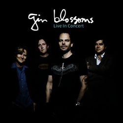 Live In Concert - Gin Blossoms