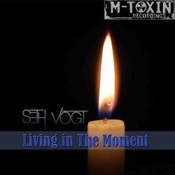 Living In The Moment - Beyond The Ashes