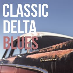 Classic Delta Blues - Big Joe Williams