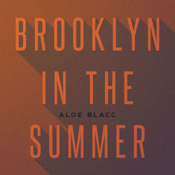 Brooklyn In The Summer - Aloe Blacc