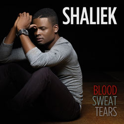 Blood Sweat Tears - Shaliek