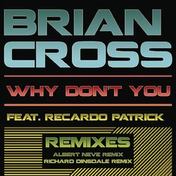 Why Don't You (Remixes) - Brian Cross