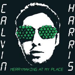 Merrymaking At My Place - Calvin Harris