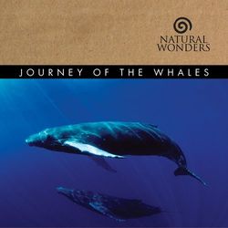 Journey Of The Whales - David Arkenstone