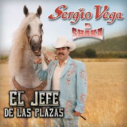 El Jefe De Las Plazas - Sergio Vega