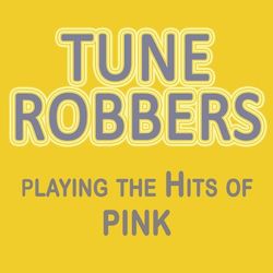Playing the Hits of Pink - Pink