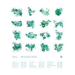The Colours of Life - CFCF