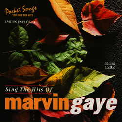 The Hits of Marvin Gaye - Studio Musicians