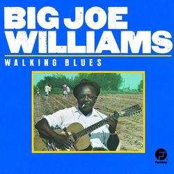 Walking Blues - Big Joe Williams