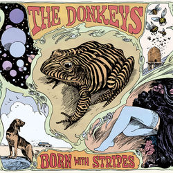Born With Stripes - The Donkeys
