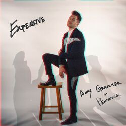 Expensive - Andy Grammer