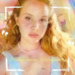 Wildflower Wildfire - Lana Del Rey