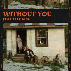 Without You - Diplo
