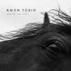 How Do You Live - Amon Tobin